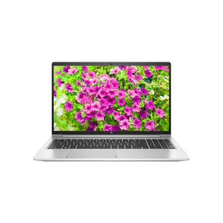 HP ProBook 450 G10 Laptop